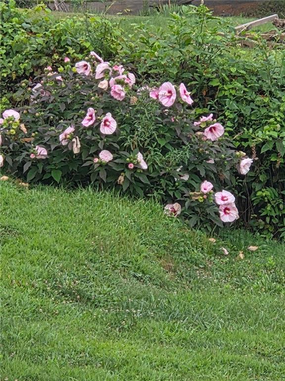 4912 Williamsport Road Elizabeth, PA 15037 - Photo 34 of 49 Gallery Image 34