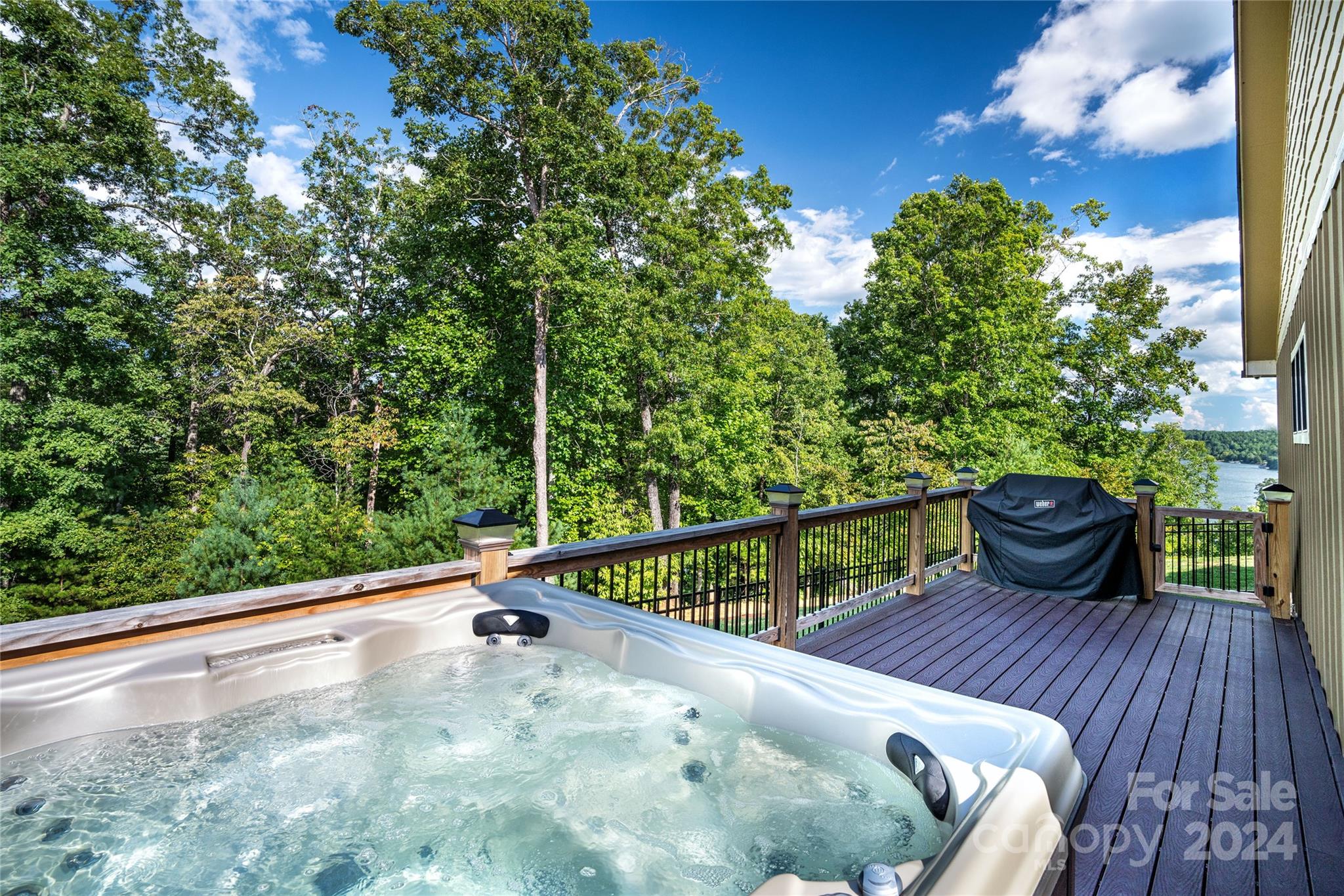6521 Lake James Road Marion, NC 28752 - Photo 13 of 44