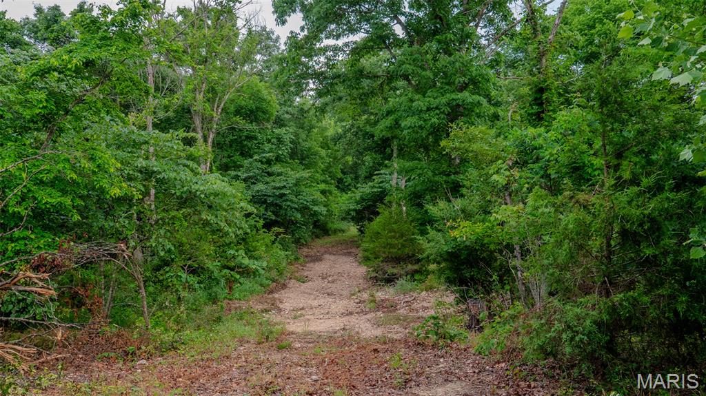 0 Hwy M Cabool, MO 65689 - Photo 55 of 68