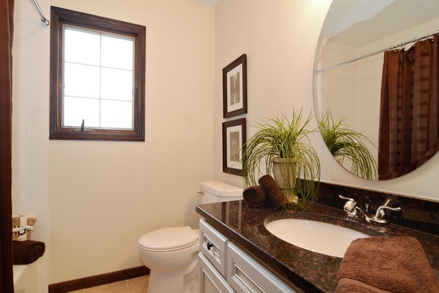 30W721 Army Trail Road Wayne, IL 60184 - Photo 8 of 14