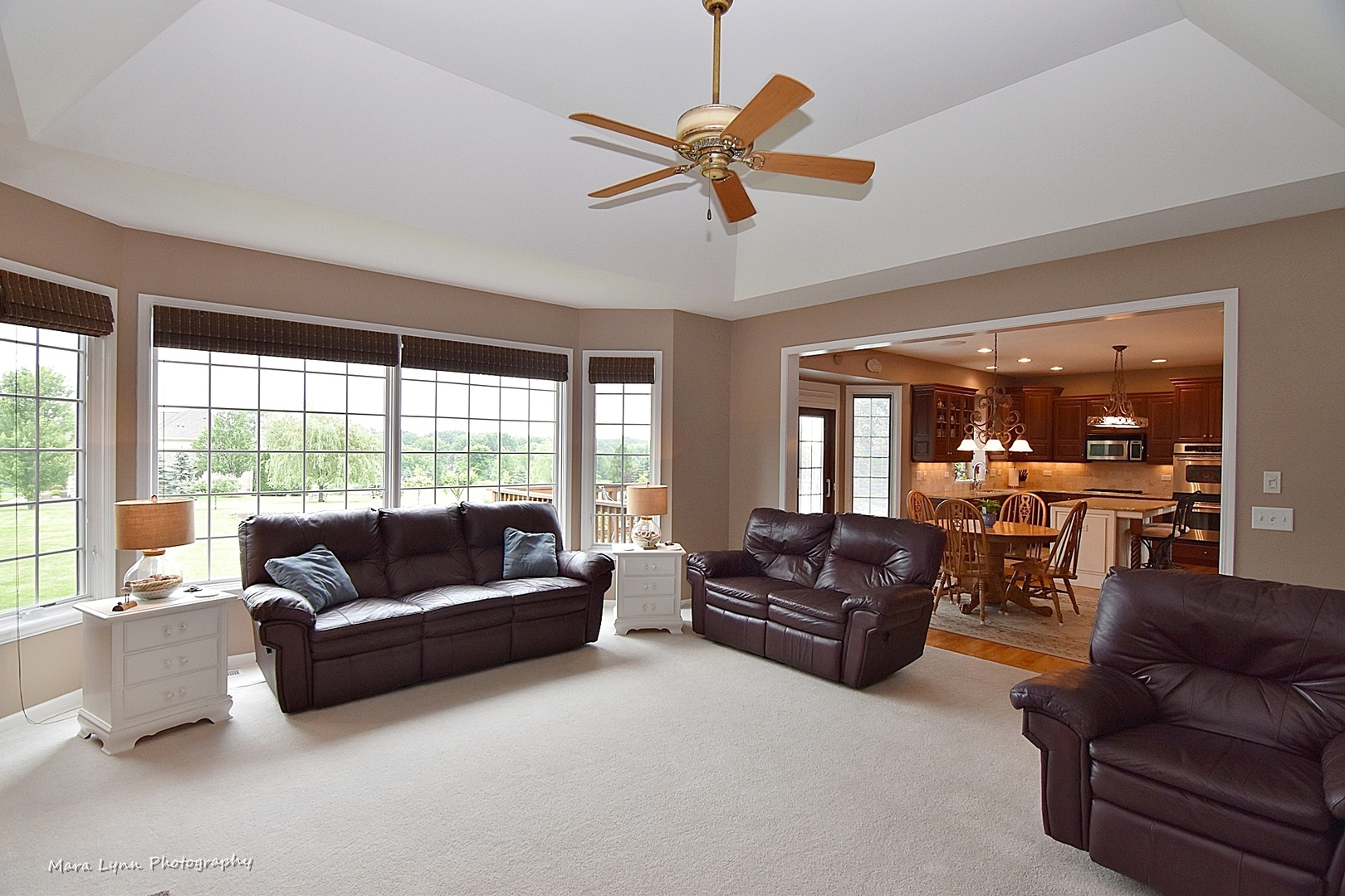 41-w035 Brown Road St. Charles, IL 60175 - Photo 15 of 33 a living room with furniture ceiling fan and a large window