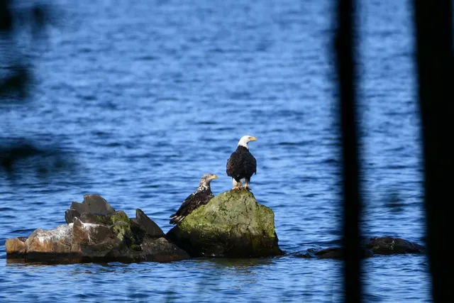 $869,000 | 107 Shady Lane, Newport, ME 04953