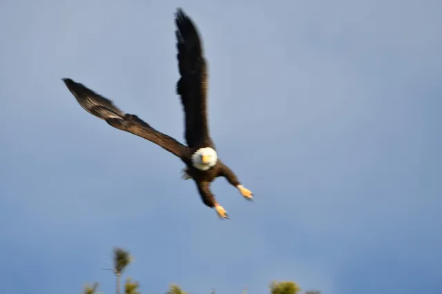 $869,000 | 107 Shady Lane, Newport, ME 04953