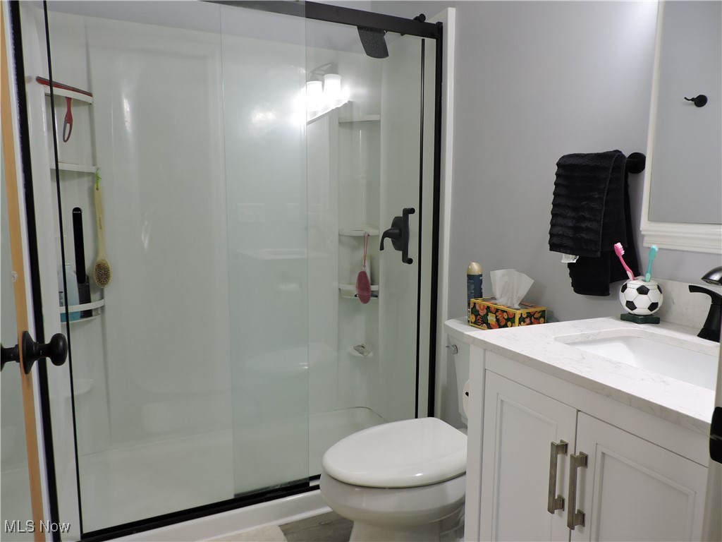 42059 Biggs Road Lagrange, OH 44050 - Photo 16 of 25 Full bath featuring a stall shower, toilet, and vanity