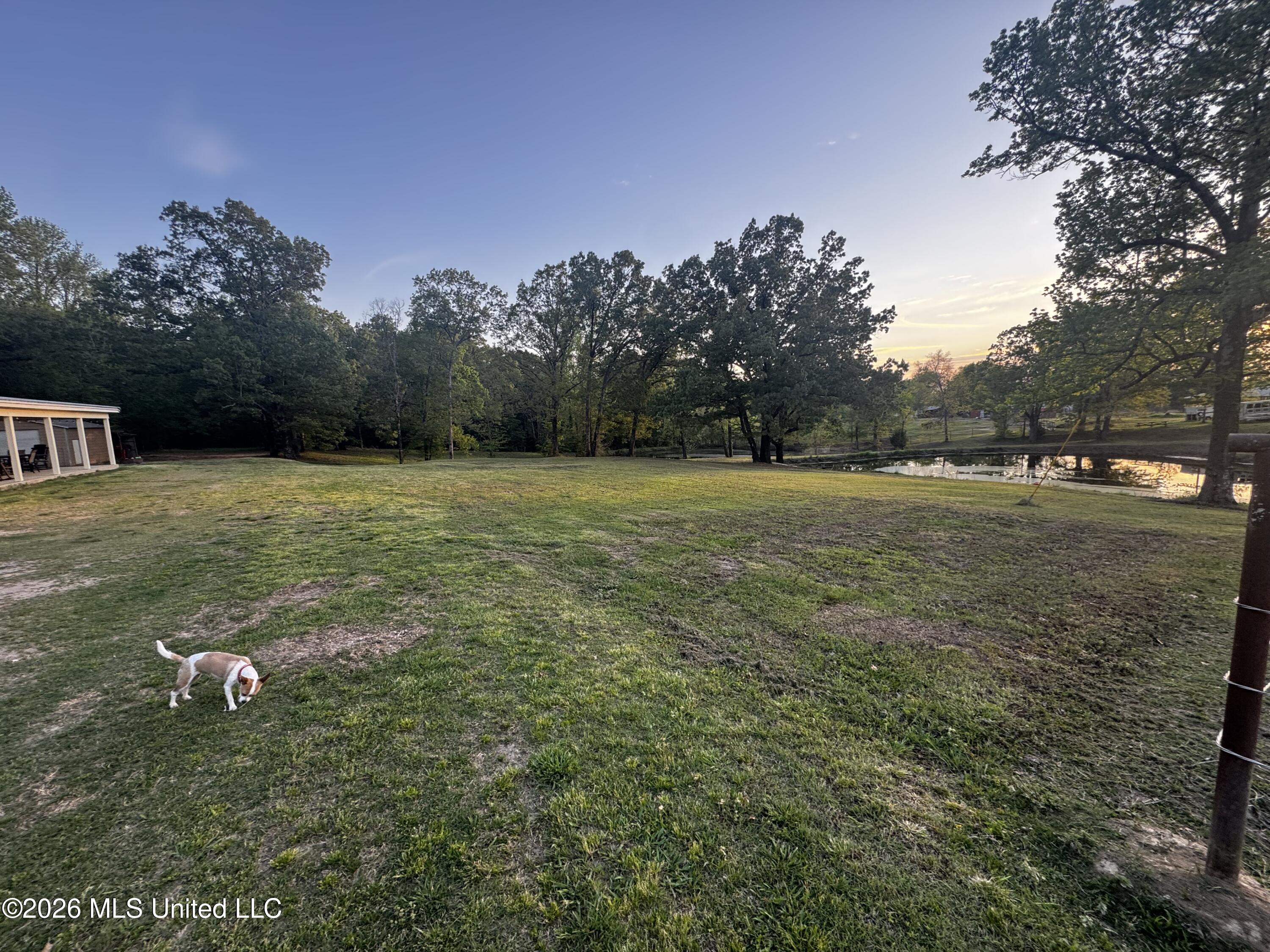 8511 Airport Road East Hernando, MS 38632 - Photo 3 of 14 IMG_2896