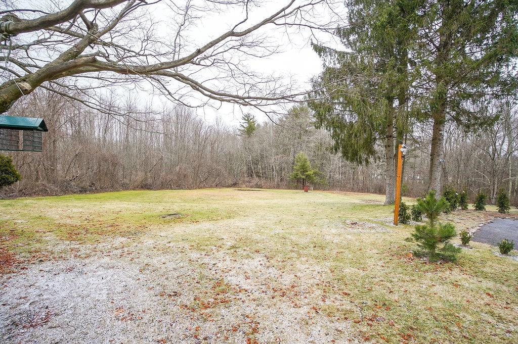 200 Brimfield Road, Unit 200 Monson, MA 01057 - Photo 10 of 13 a view of backyard with tree