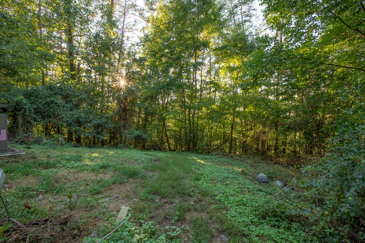 22192223 Goose Gap Road Sevierville, TN 37876 - Photo 9 of 12 Gallery Image 9