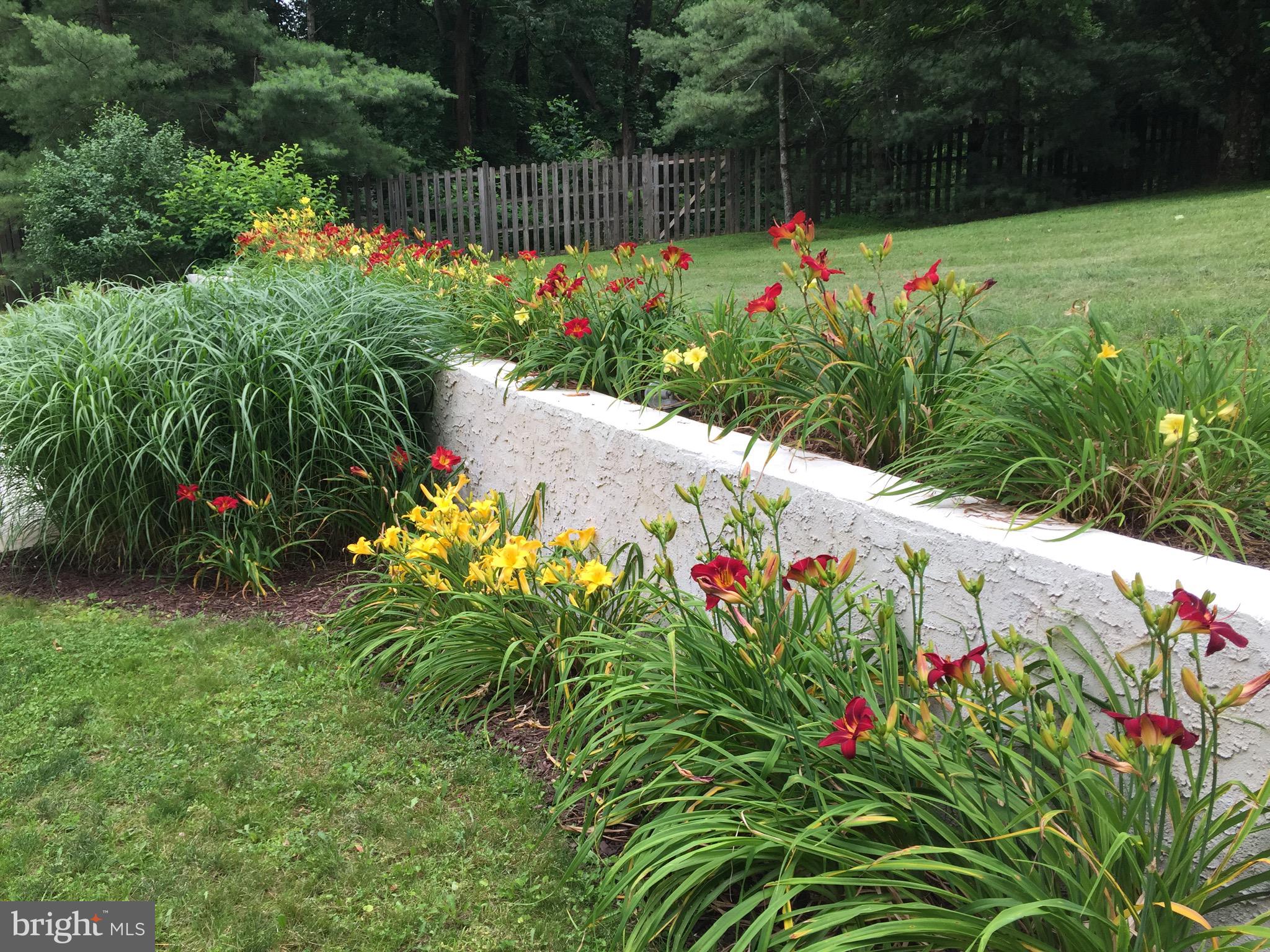 1625 Street Road Chester Springs, PA 19425 - Photo 33 of 46 Day lilies by the pool