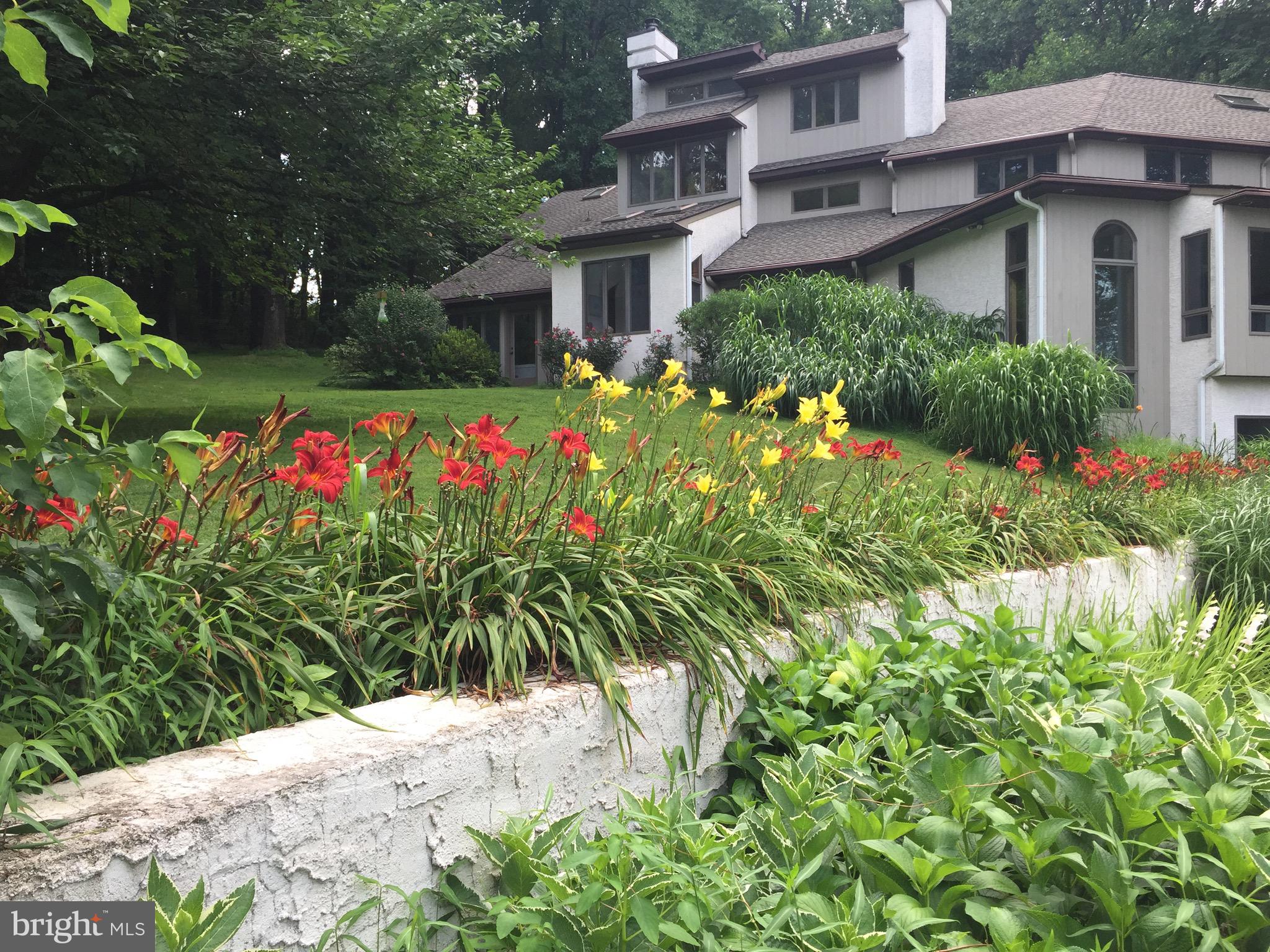 1625 Street Road Chester Springs, PA 19425 - Photo 44 of 46 Day lilies by the pool