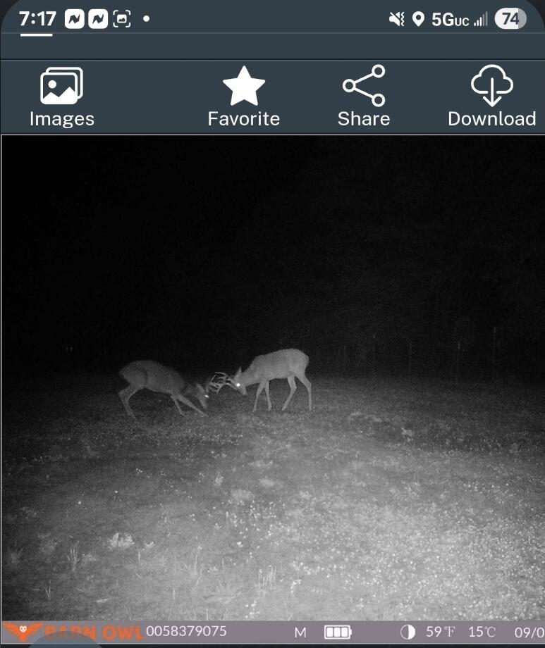V/l Dexter Road Wellston, MI 49689 - Photo 20 of 22 5877120523092689703