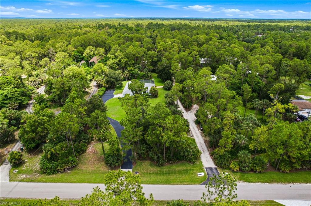 2053 17th Street Southwest Naples, FL 34117 - Photo 3 of 47 a view of a yard with plants and large trees