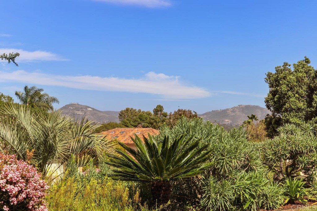 2205 Running Spring Place Encinitas, CA 92024 - Photo 10 of 26