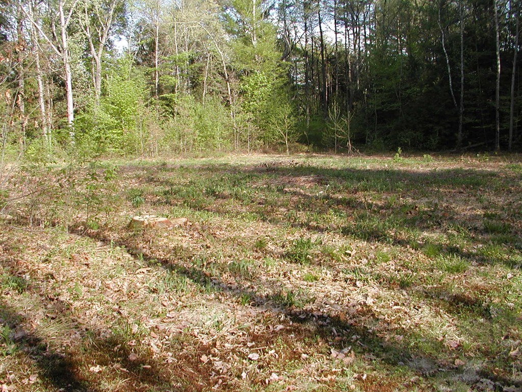 16 Swamp Road Montague, MA 01351 - Photo 4 of 8 Gallery Image 4