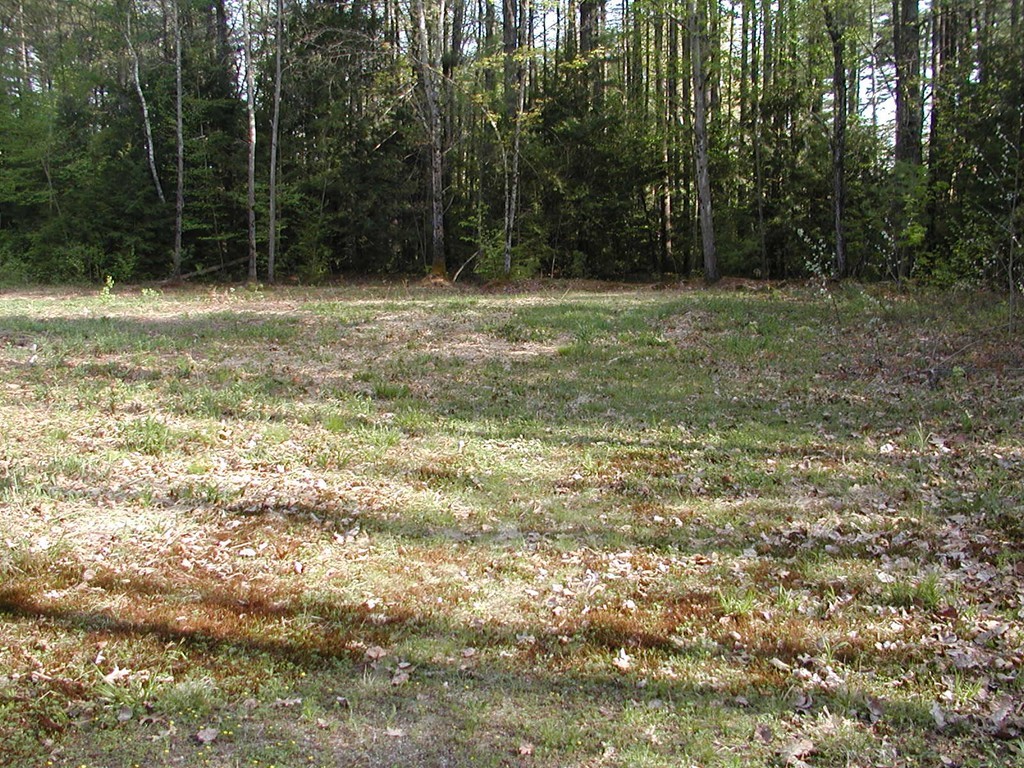 16 Swamp Road Montague, MA 01351 - Photo 5 of 8 Gallery Image 5