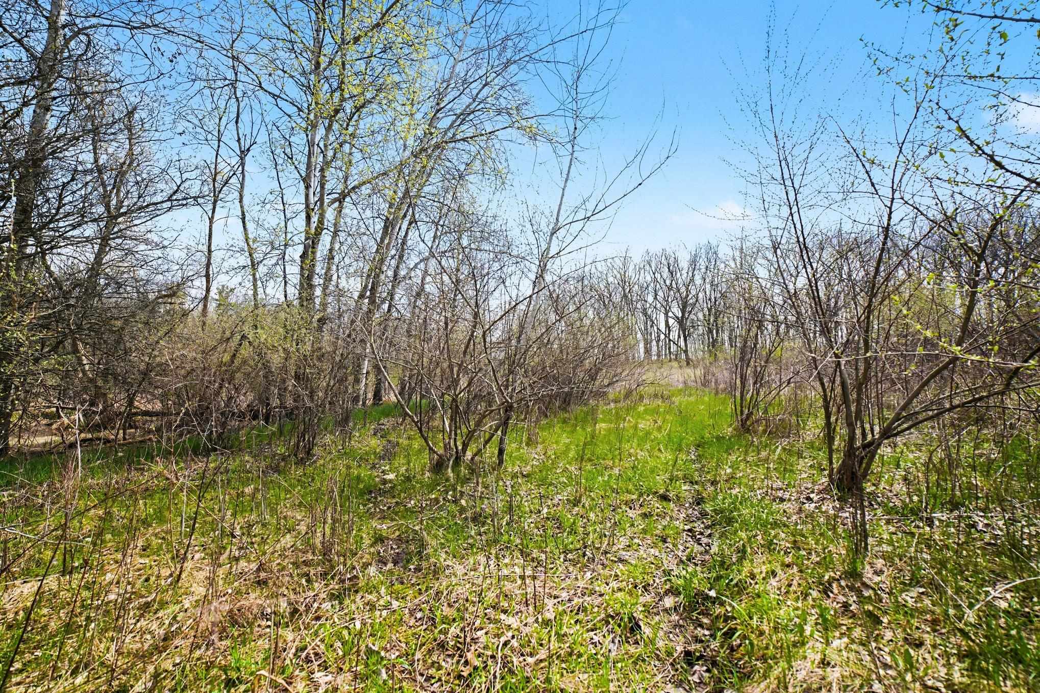 Tbd North Crystal Road Vestaburg, MI 48891 - Photo 6 of 21