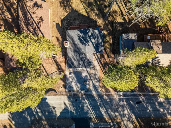 a view of a yard with plants and tree