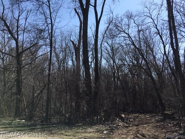 Vacant Seven Mile Road Whitmore Lake, MI 48189 - Photo 1 of 1