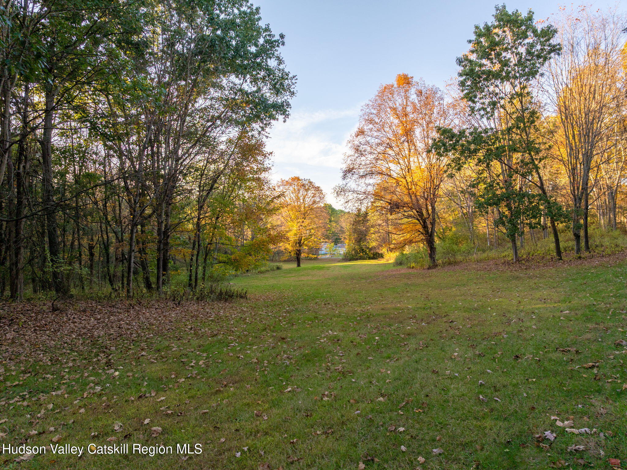 77 Merwin Lake Road Kinderhook, NY 12106 - Photo 43 of 47 69-web-or-mls-77-merwin-lake-rd