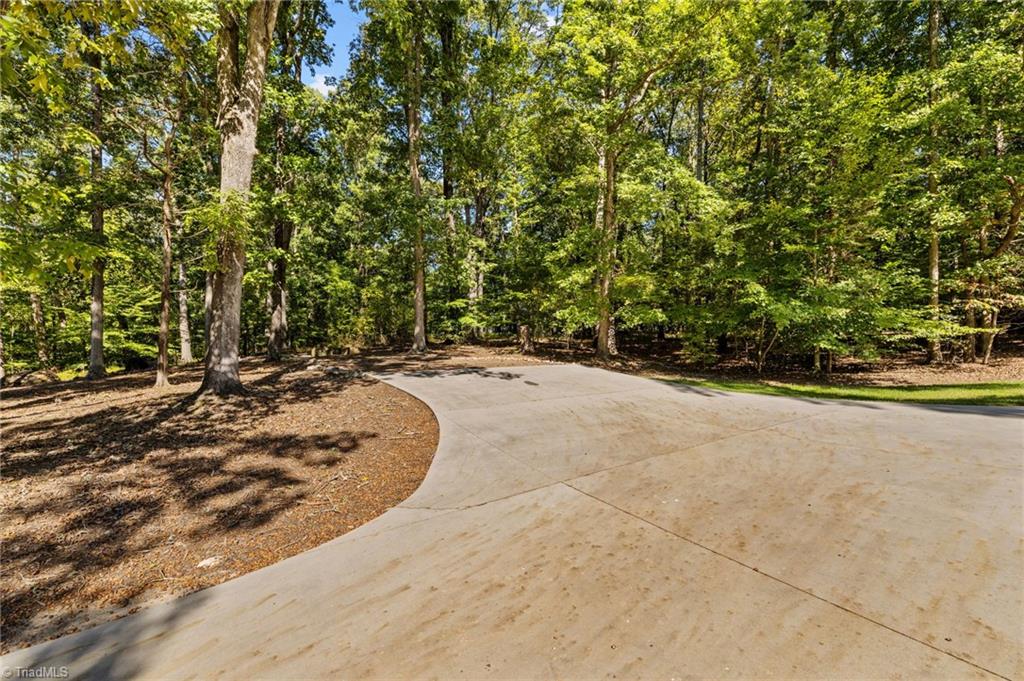 3930 Cole Avenue High Point, NC 27265 - Photo 42 of 44 Beautiful winding driveway