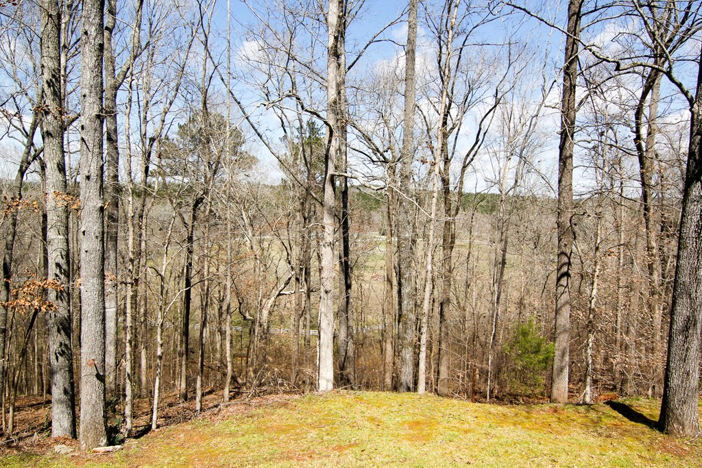 601 Biggers Road Columbus, GA 31904 - Photo 4 of 30 Gallery Image 4