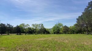 21-22 Cedar Falls Road Shell Knob, MO 65747 - Photo 5 of 7 image 1