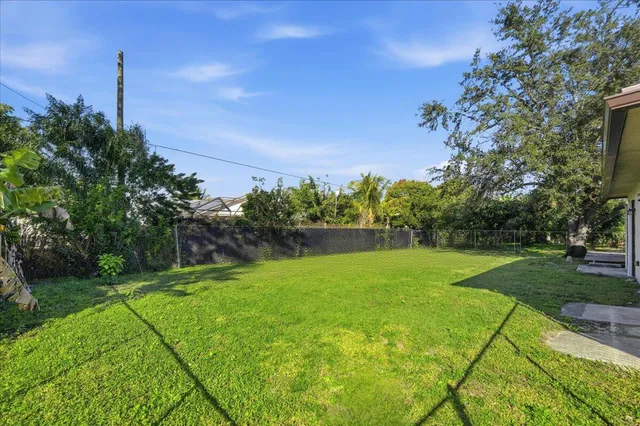 a view of a field with a tree in the background