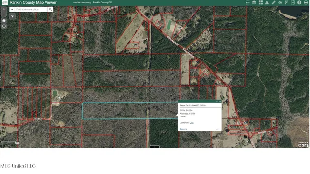 $305,000 | Clara Foote Road, Braxton, MS 39044