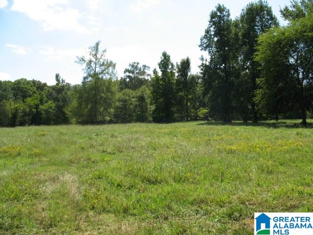 1950 Steele Station, Unit 59 AC Steele, AL 35987 - Photo 9 of 12