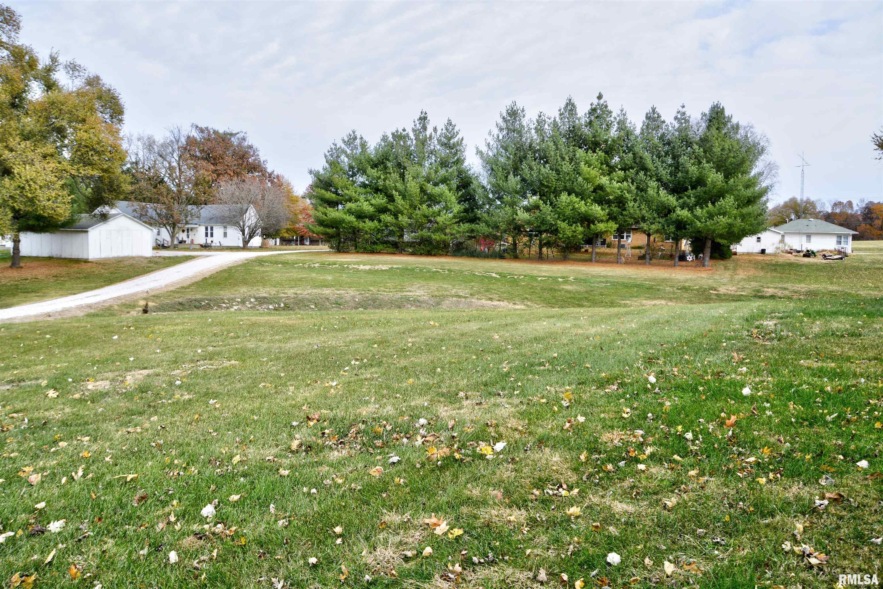 113 Valentine Place Colchester, IL 62326 - Photo 4 of 24