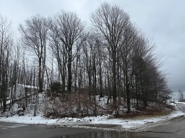 $29,900 | West Snead Drive, Ludington, MI 49431