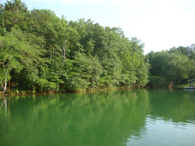 2.7-acres Hunnicutt Cove Road Seneca, SC 29672 - Photo 2 of 15 Gallery Image 2