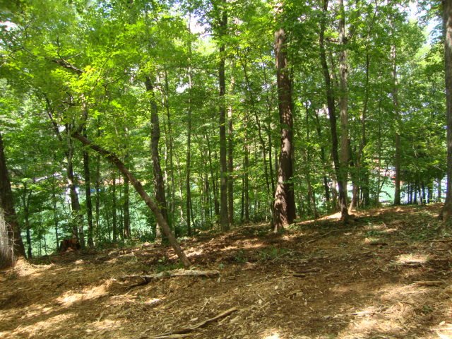 2.7-acres Hunnicutt Cove Road Seneca, SC 29672 - Photo 6 of 15 Gallery Image 6