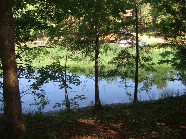 2.7-acres Hunnicutt Cove Road Seneca, SC 29672 - Photo 9 of 15 Gallery Image 9