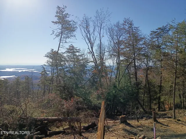 $62,900 | 10 Wallen Lane, Thorn Hill, TN 37881