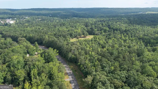 $195,000 | 0 Roosevelt Highway, Warm Springs, GA 31830