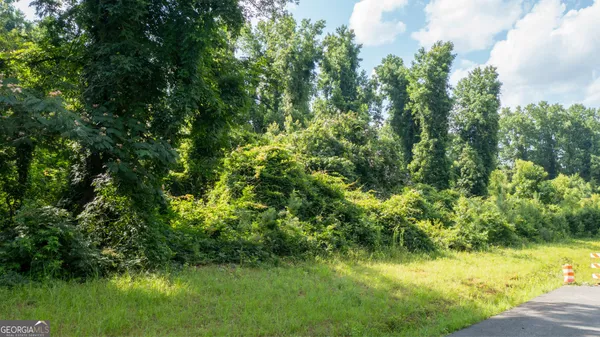 $195,000 | 0 Roosevelt Highway, Warm Springs, GA 31830