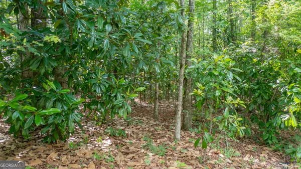$195,000 | 0 Roosevelt Highway, Warm Springs, GA 31830