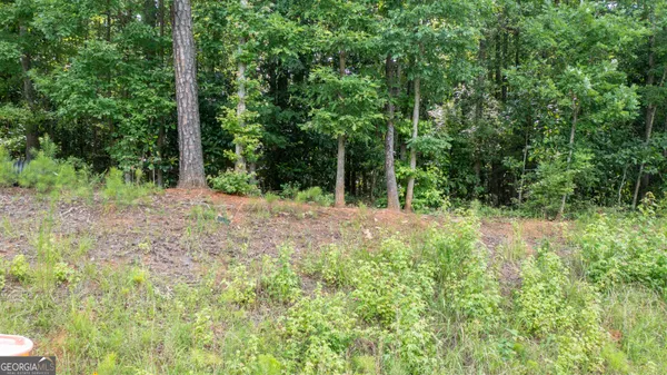 $195,000 | 0 Roosevelt Highway, Warm Springs, GA 31830