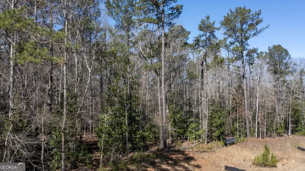 $195,000 | 0 Roosevelt Highway, Warm Springs, GA 31830