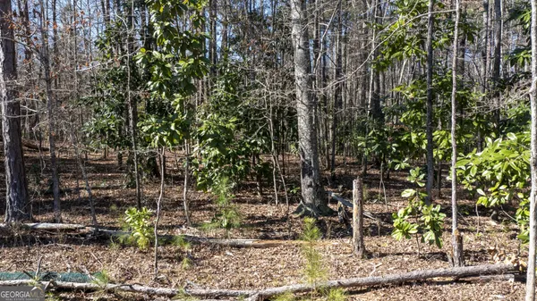 $195,000 | 0 Roosevelt Highway, Warm Springs, GA 31830