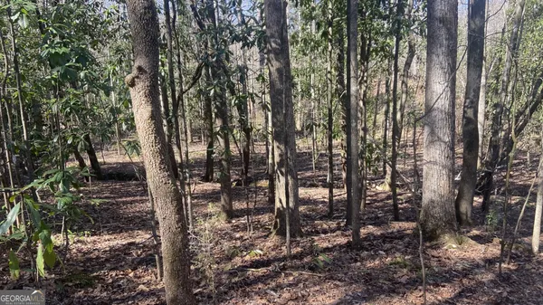 $195,000 | 0 Roosevelt Highway, Warm Springs, GA 31830