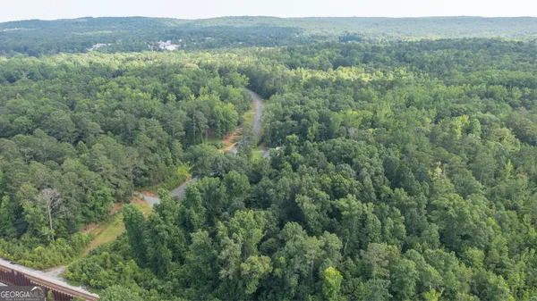 $195,000 | 0 Roosevelt Highway, Warm Springs, GA 31830