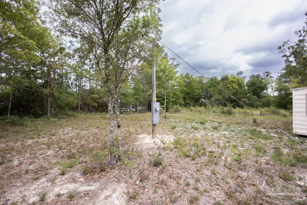 7706 Tidwell Road Pace, FL 32571 - Photo 12 of 25 a backyard of a house with lots of green space