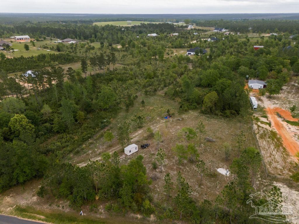 7706 Tidwell Road Pace, FL 32571 - Photo 16 of 25 a view of a city with lush green forest