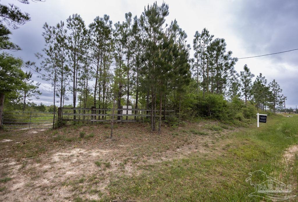 7706 Tidwell Road Pace, FL 32571 - Photo 25 of 25 a backyard of a house with lots of green space