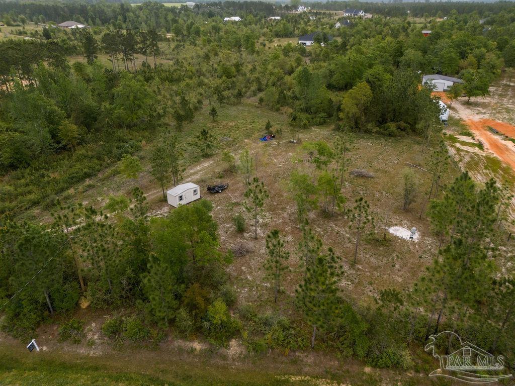 7706 Tidwell Road Pace, FL 32571 - Photo 8 of 25 a view of a yard with trees