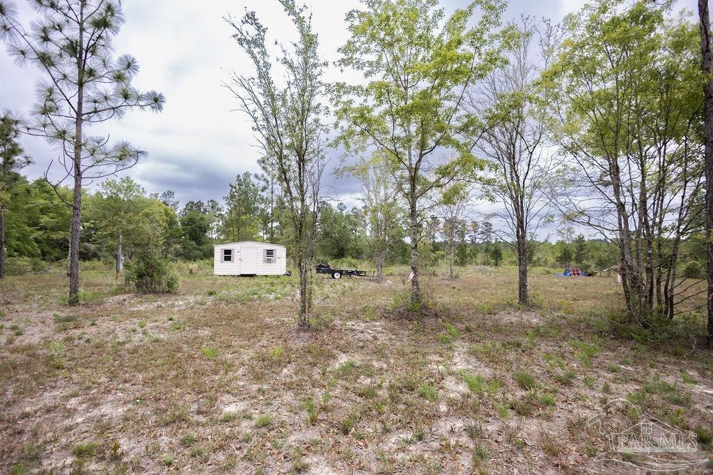 7706 Tidwell Road Pace, FL 32571 - Photo 10 of 25 a backyard of a house with lots of green space