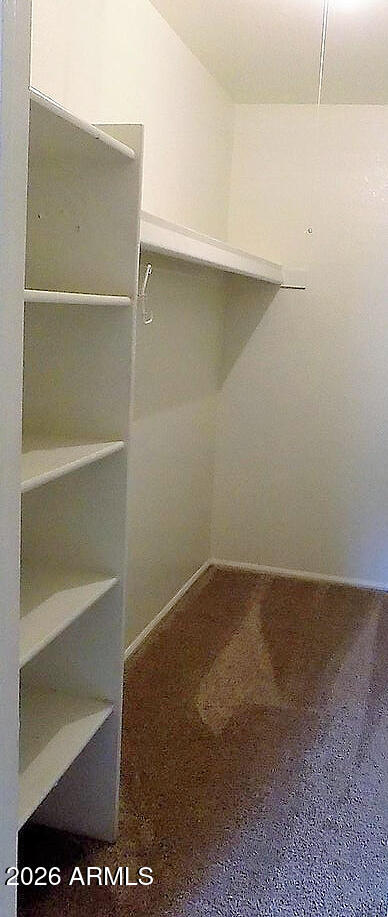 533 West Guadalupe Road, Unit 1053 Mesa, AZ 85210 - Photo 15 of 18 Primary Bedroom Walk-in Closet