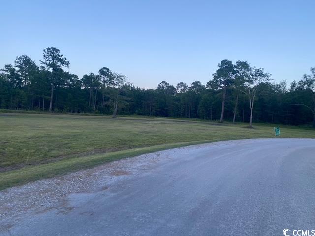 114 Belland Court Loris, SC 29569 - Photo 2 of 8