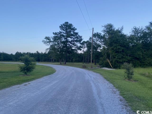 114 Belland Court Loris, SC 29569 - Photo 3 of 8